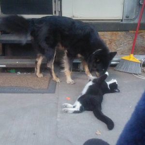 Meet your Posher, Tony